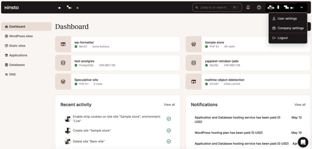 Screenshot of the custom MyKinsta hosting dashboard
